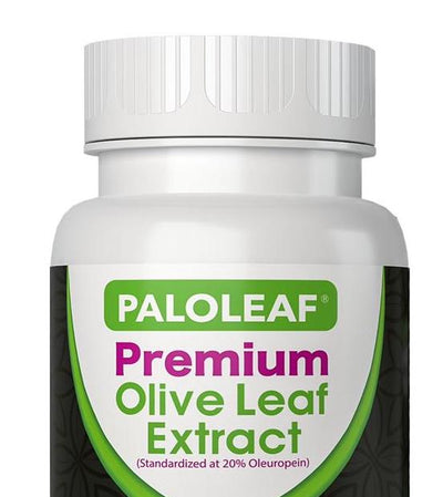 Paloleaf, Premium Olive Leaf Extract, 60 Tablet